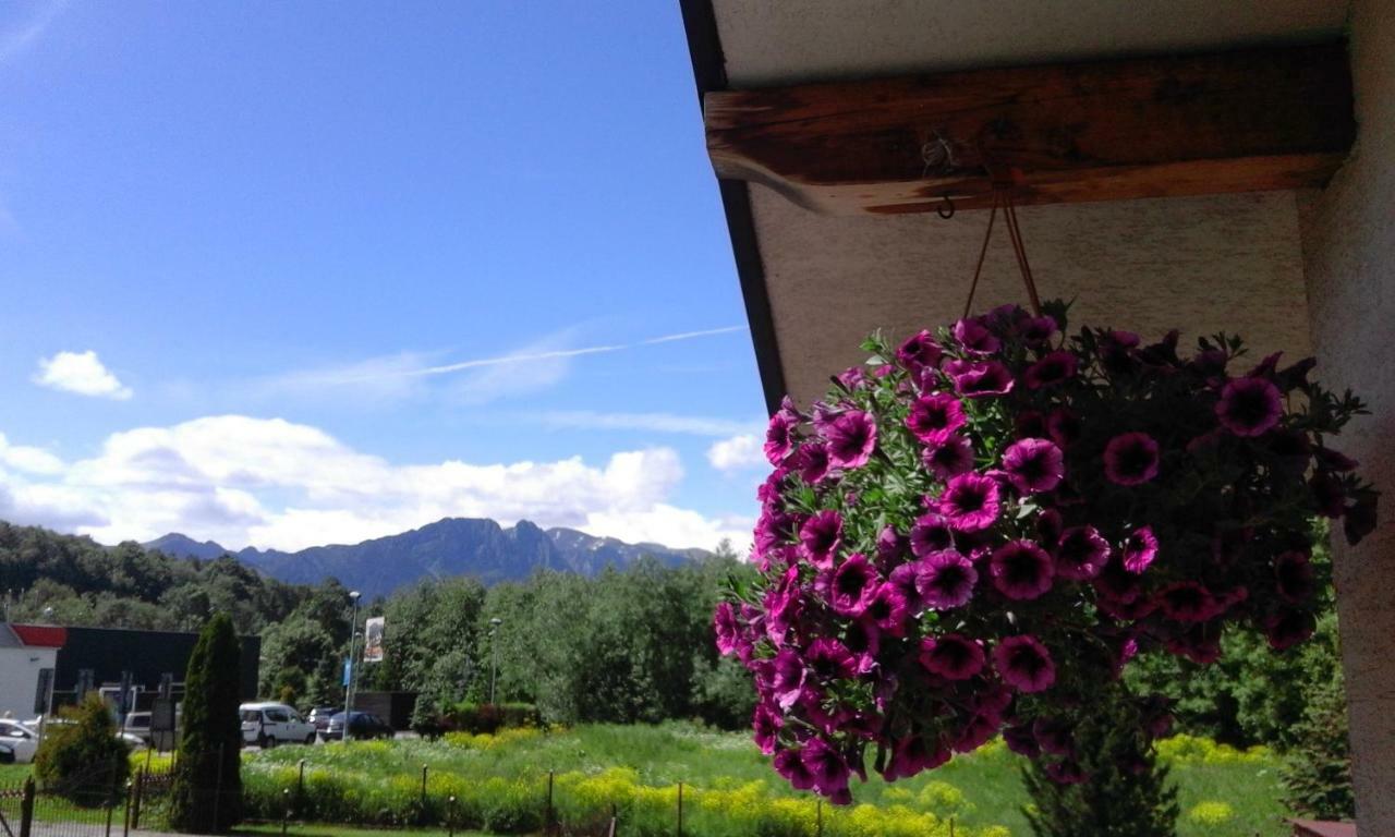 Pokoje Goscinne Agusia Zakopane Exterior foto